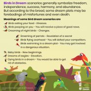 Dreaming of Birds: 124 Dream Scenarios and Meanings - ThePleasantDream