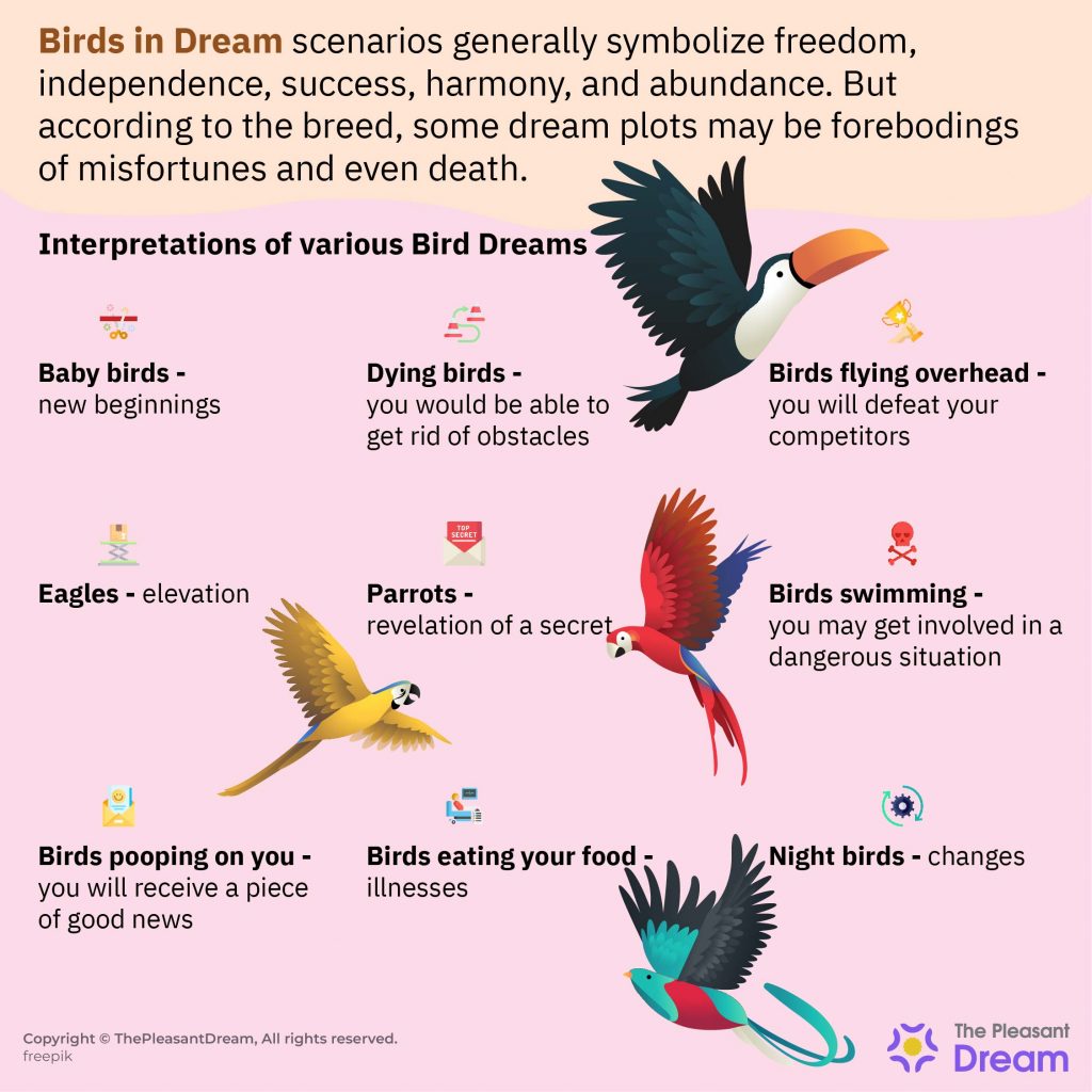 Dreaming of Birds - Dream Scenarios and Meanings