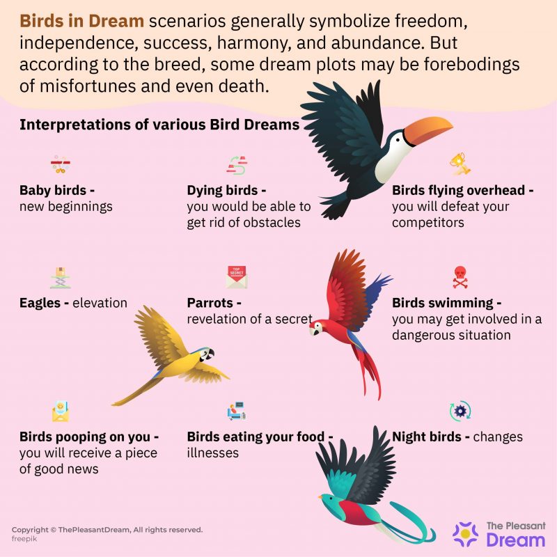 Dreaming Of Birds Is Something Stopping You From Being Free?