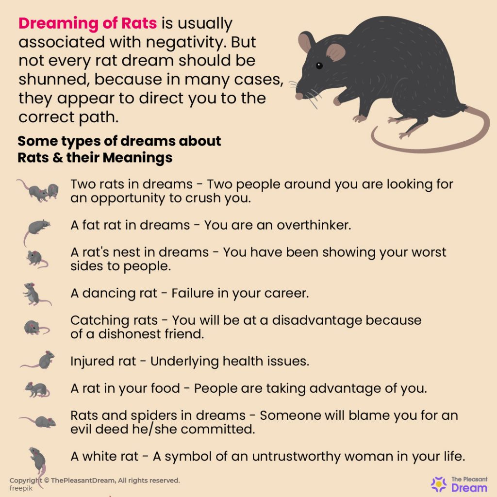 dreaming-of-rats-150-types-of-dreams-their-meanings