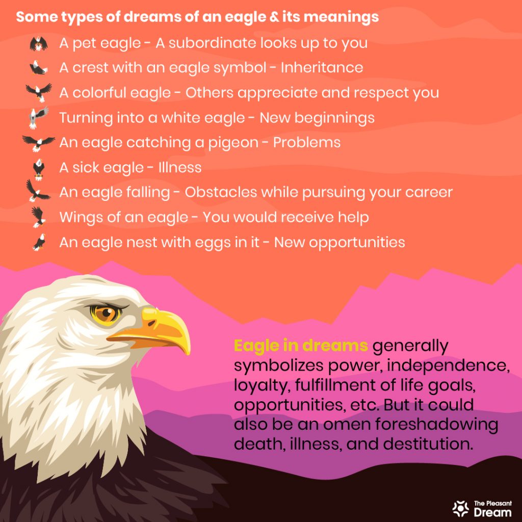 Eagle in Dream - 100+ Dream Scenarios & Their Meanings