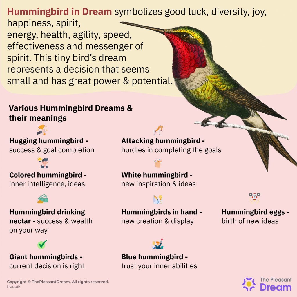 Hummingbird in Dream - 45 Types and Their Meanings