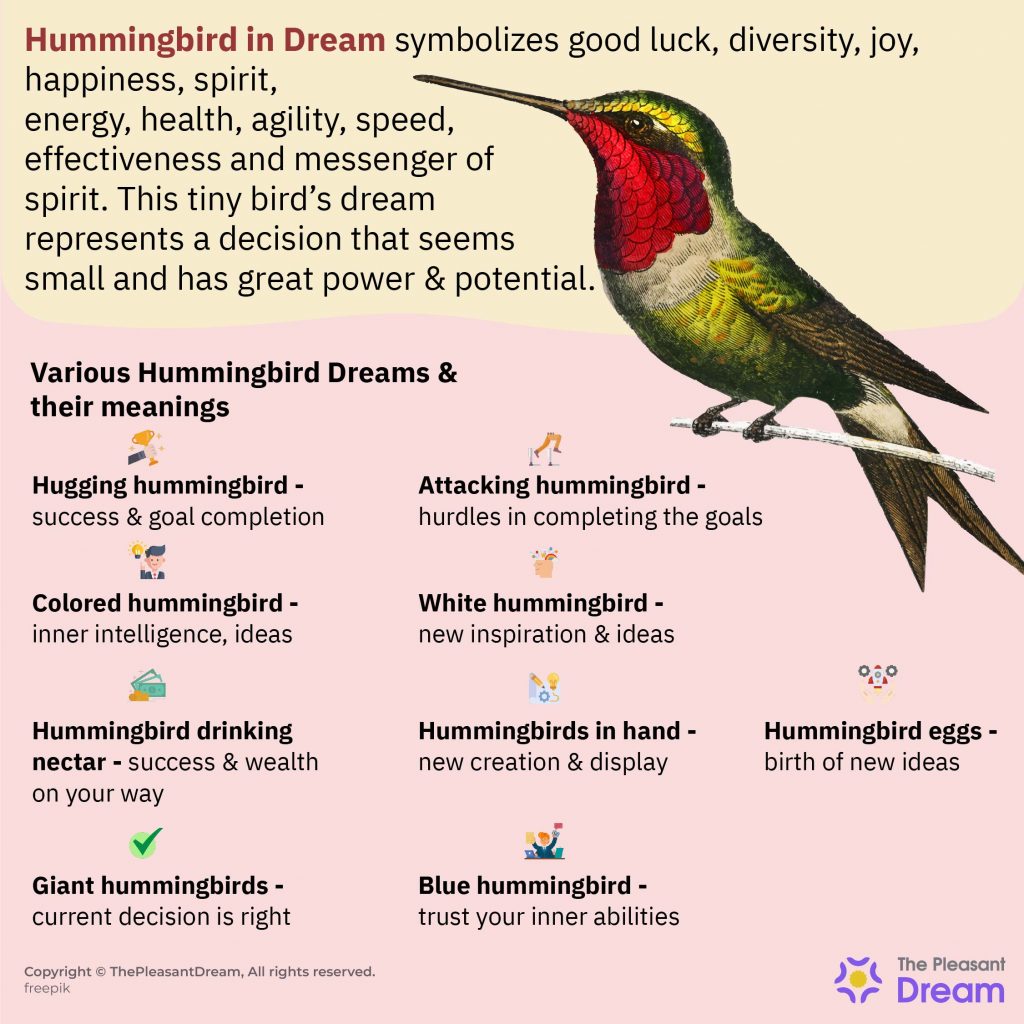 Hummingbird dream interpretation