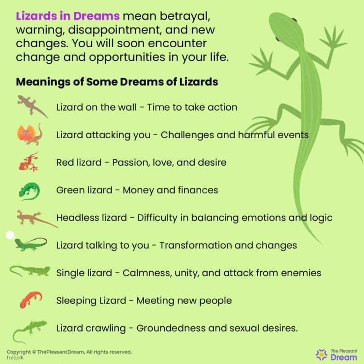 Lizard in Dream - 65 Dream Scenarios & its Meanings | ThePleasantDream
