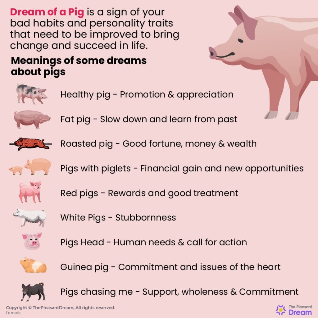 Pig in Dream - 79 Dream Types and Their Meanings