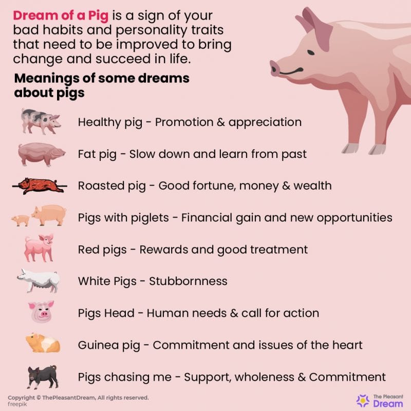 Pig in Dream 79 Dream Types and Their Meanings ThePleasantDream
