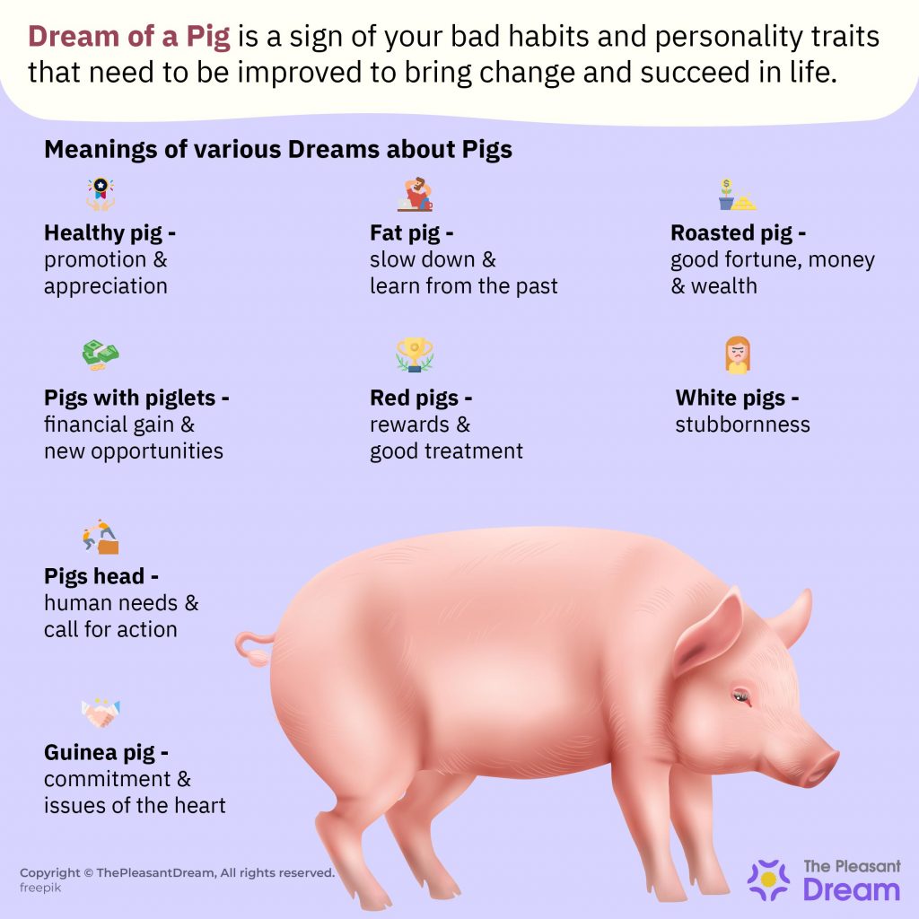 Pig in Dream - 79 Dream Types and Their Meanings