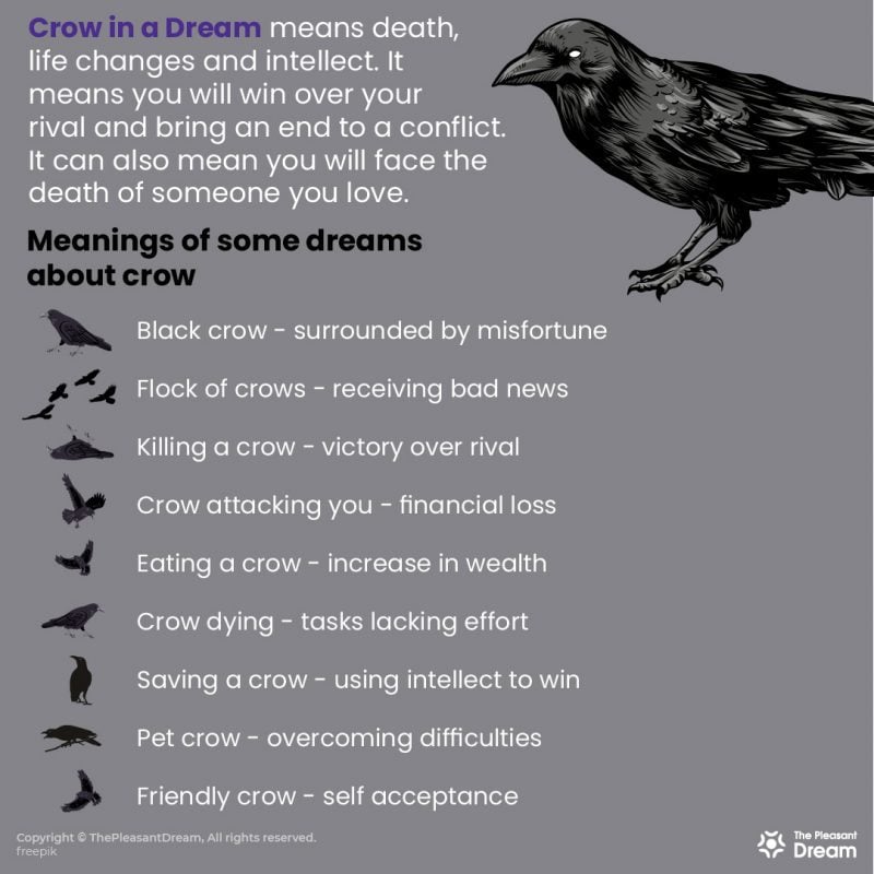 Crow in Dream A Detailed Guide with Tips and Questions