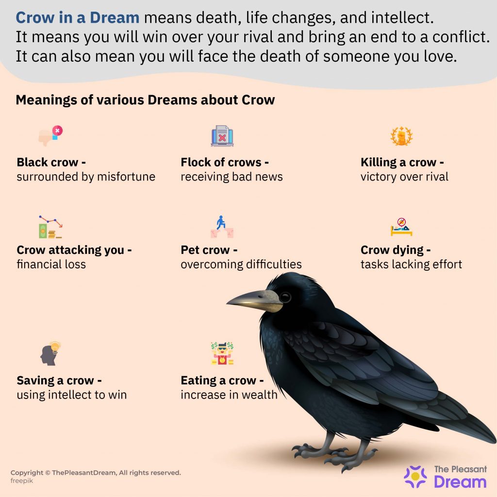 Crow in Dream - Detailed Guide of Good & Bad Interpretations 