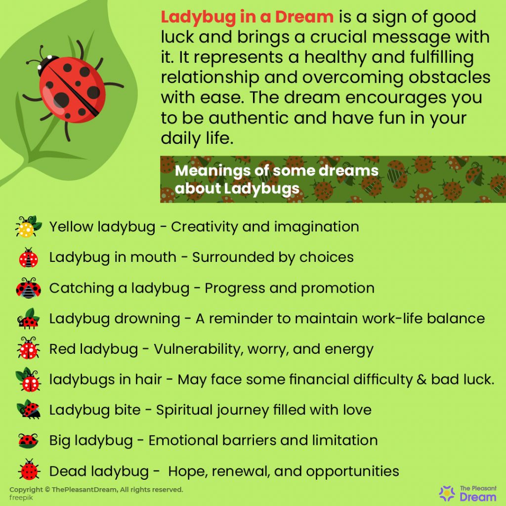 Dream about Ladybugs - 37 Dream Types and their Meanings