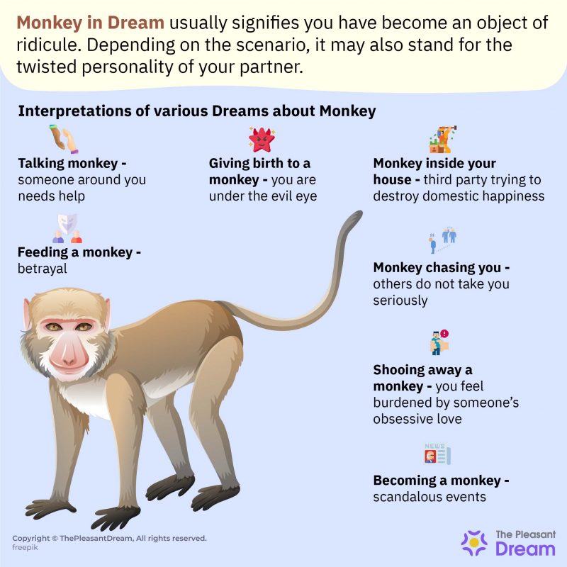 Monkey In Dream Scenarios Showcasing Your Waking Life