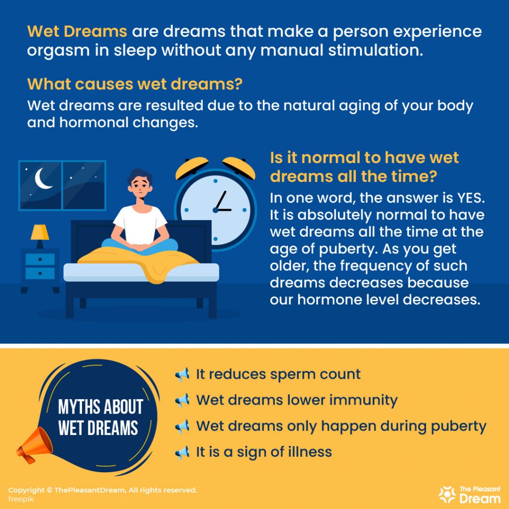 Wet Dreams - Myths and Facts that You Should Know | ThePleasantDream