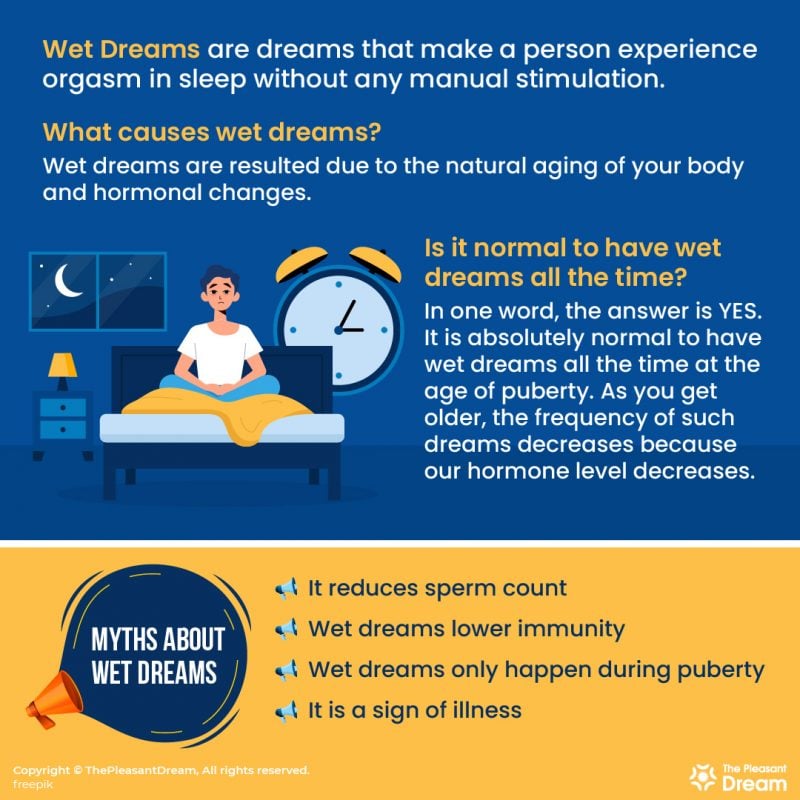 Wet Dreams Myths And Facts That You Should Know Thepleasantdream 9948