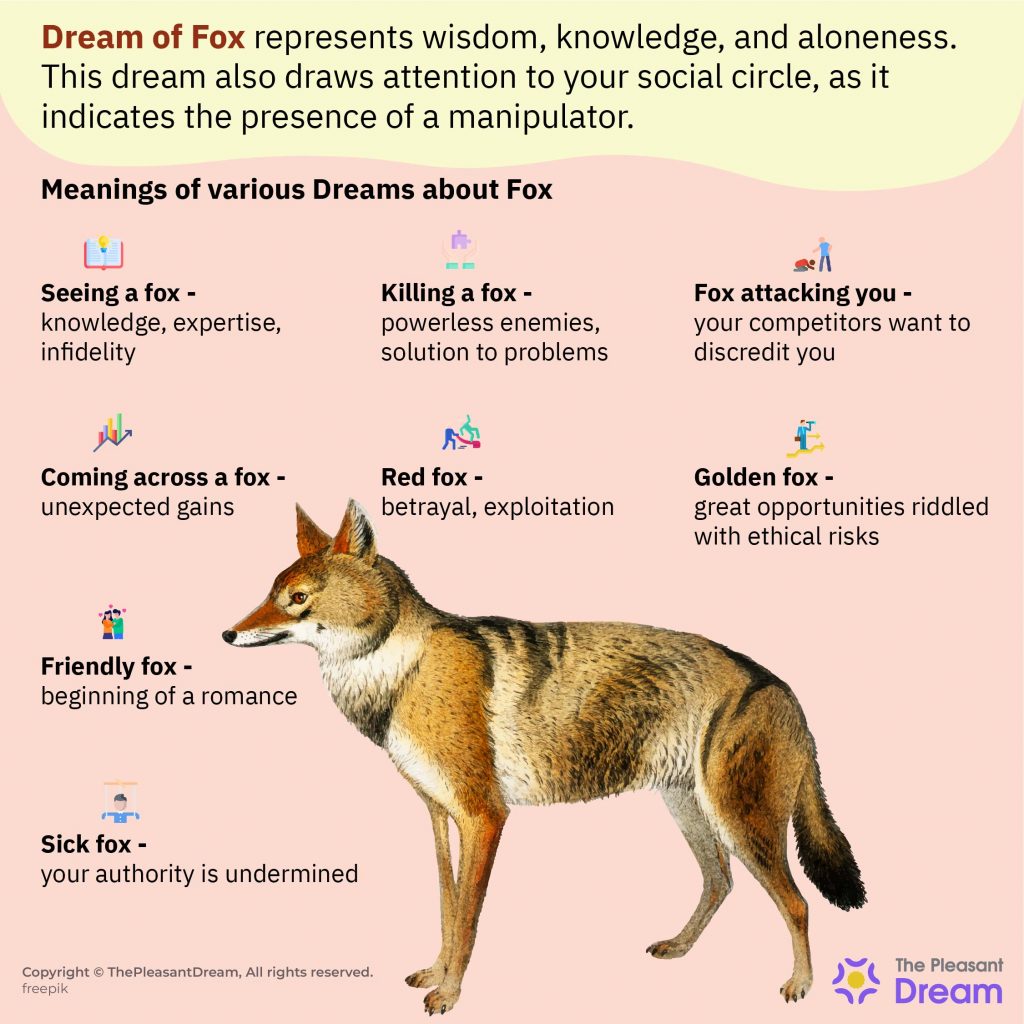 Did You Dream of Fox - Read About This Trickster Here!