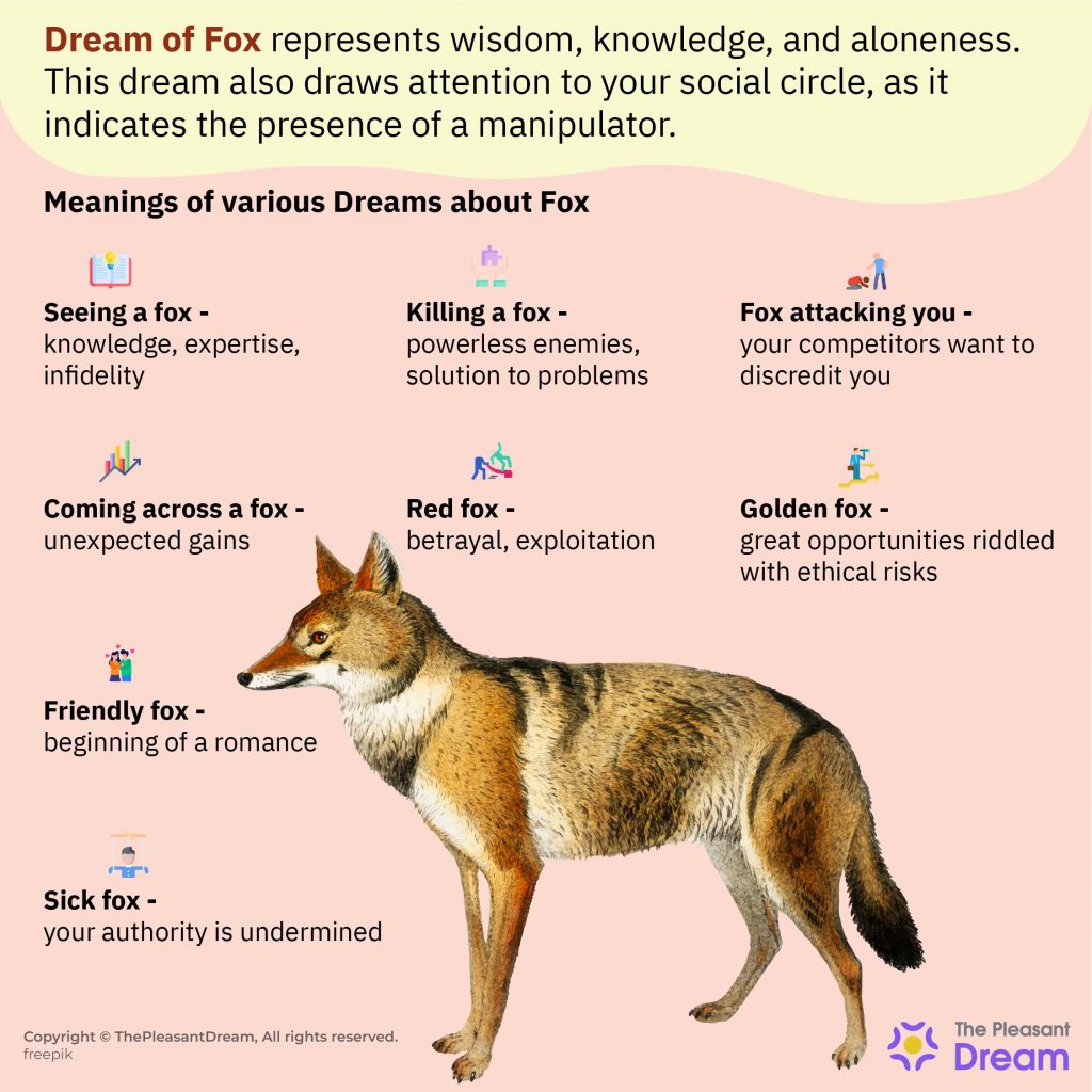 Fox Dream Meaning, A time of reflection!