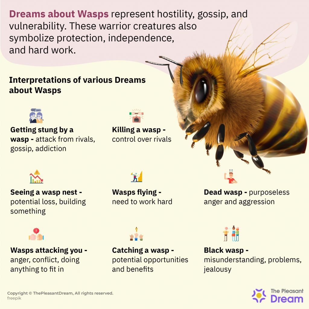 Dream about Wasps & Their Meanings