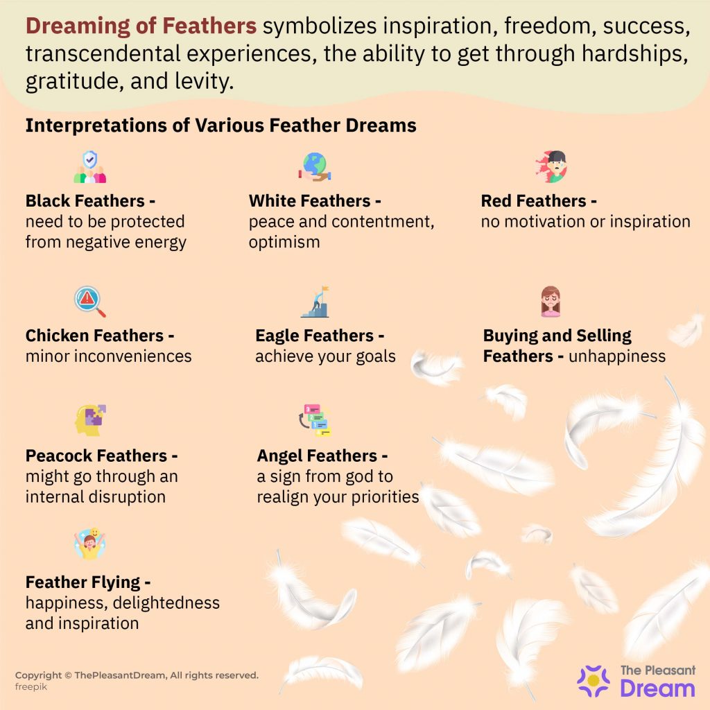 A One-Stop Guide to Dreaming of Feathers (55 Interpretations)