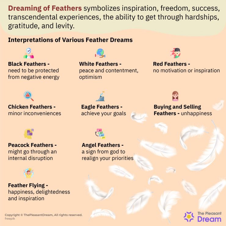 A OneStop Guide to Dreaming of Feathers ThePleasantDream
