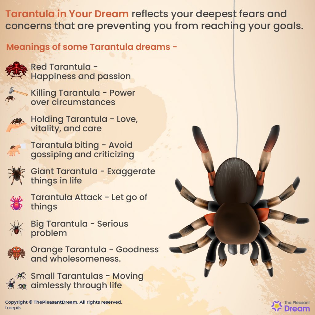Tarantula Dream - 55 Scenarios and Their Meanings
