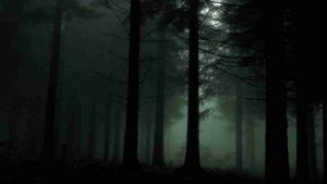 Dreams About Darkness - Is It Signify Inner Fear about Your Life?