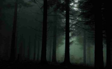 Dreams About Darkness - Is It Signify Inner Fear about Your Life?