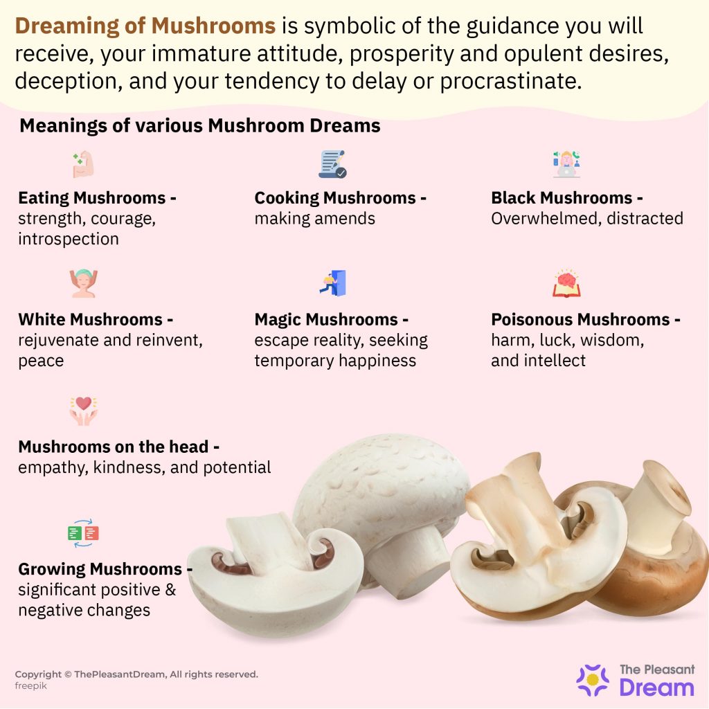 Dreaming of Mushrooms - 87 Scenarios and Their Interpretations