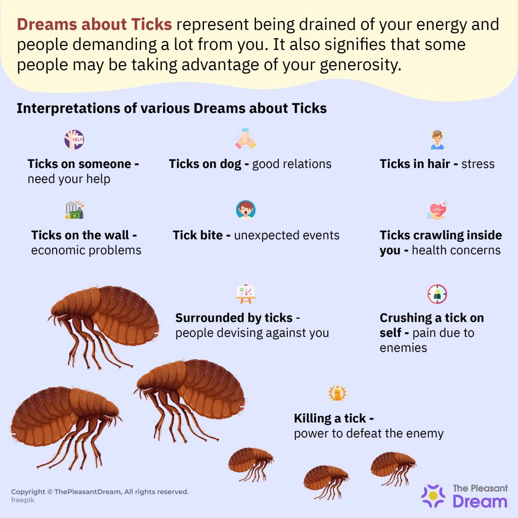 Dreams About Ticks - Various Symbolism Of The Parasites 