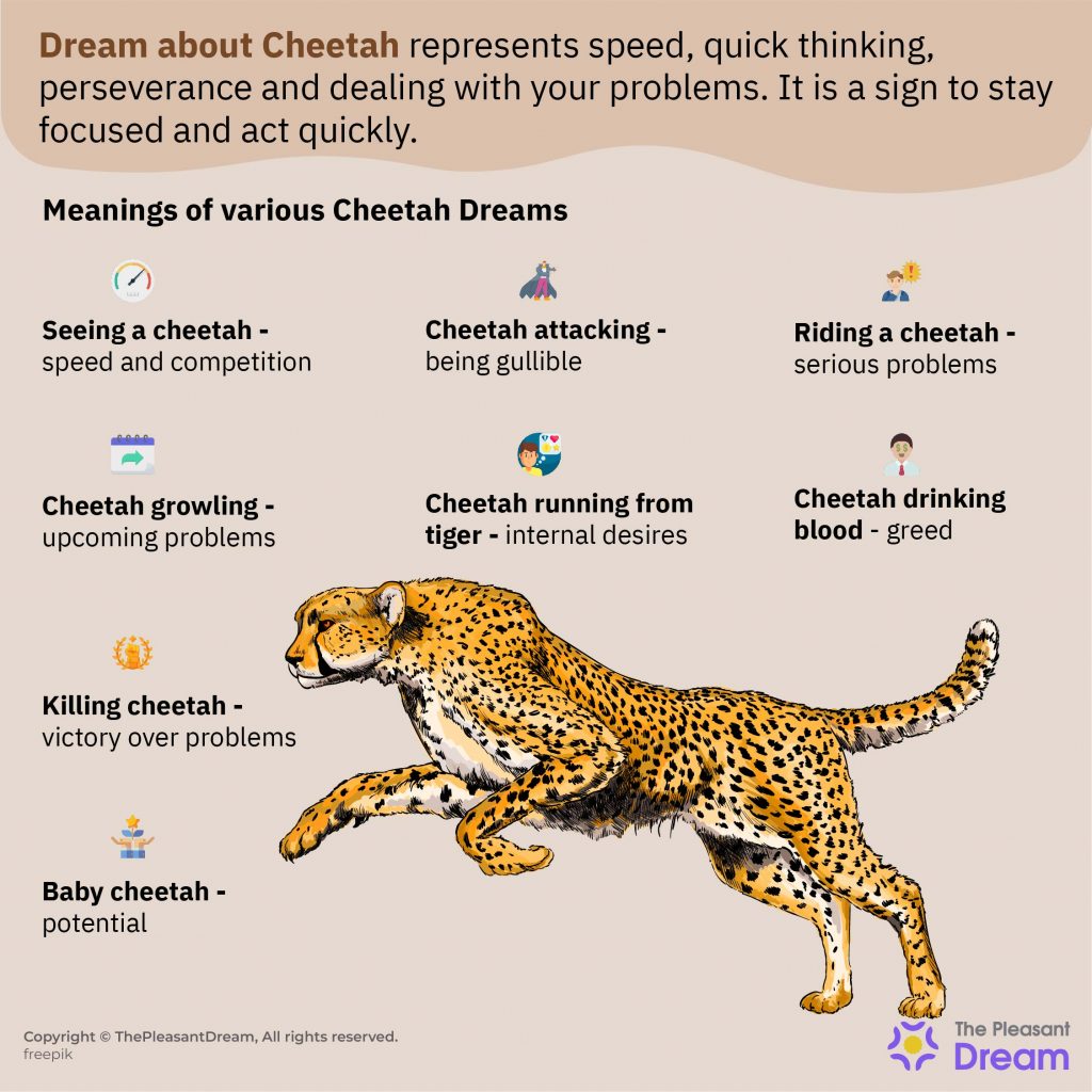 Cheetah Dream Meaning - 19 Scenarios and Their Interpretations