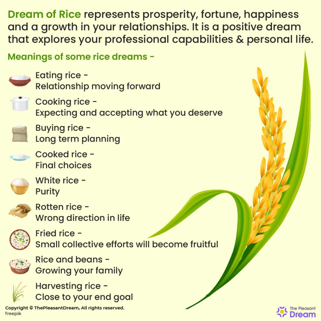 Dream Of Rice - 53 Scenarios, Types and Interpretations 