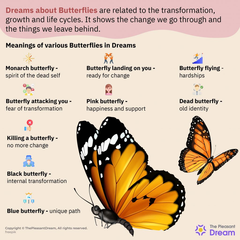 Dream about Butterfly - A Sign Of Forthcoming Transformation