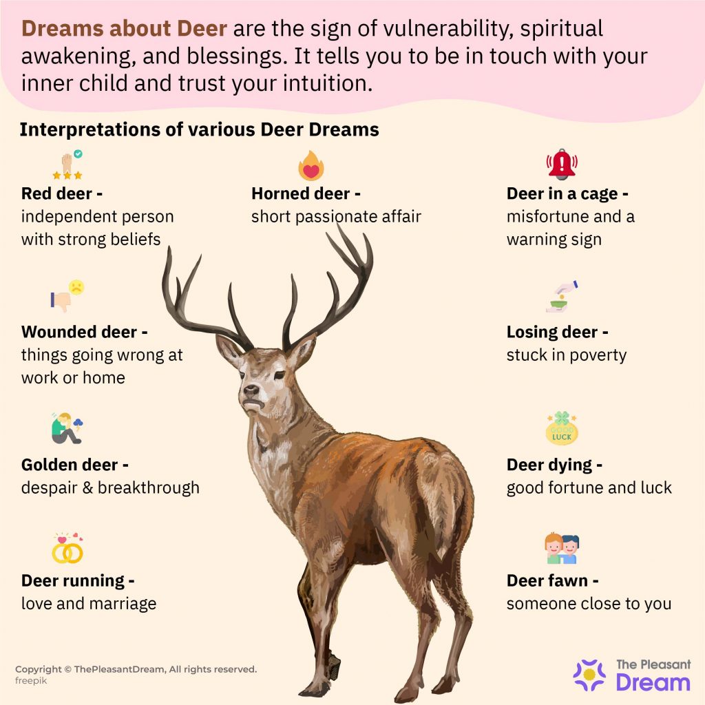 Dream of Deer - 62 Types of Dreams and Their Interpretation