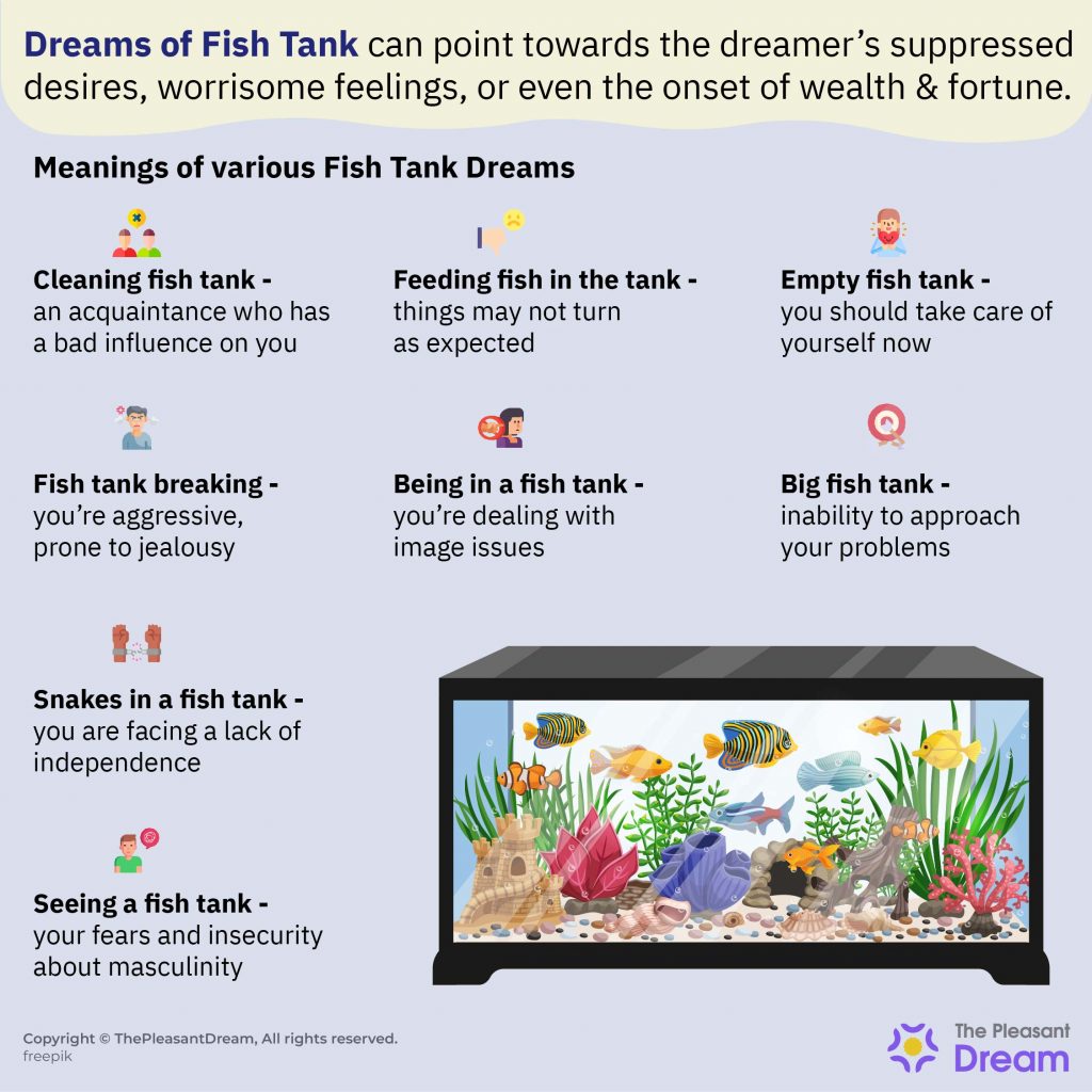 Dream of Fish Tank - 40 Scenarios & Their Interpretations