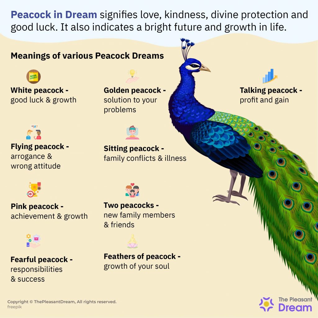 Peacock in Dream - 90 Types and Their Meanings