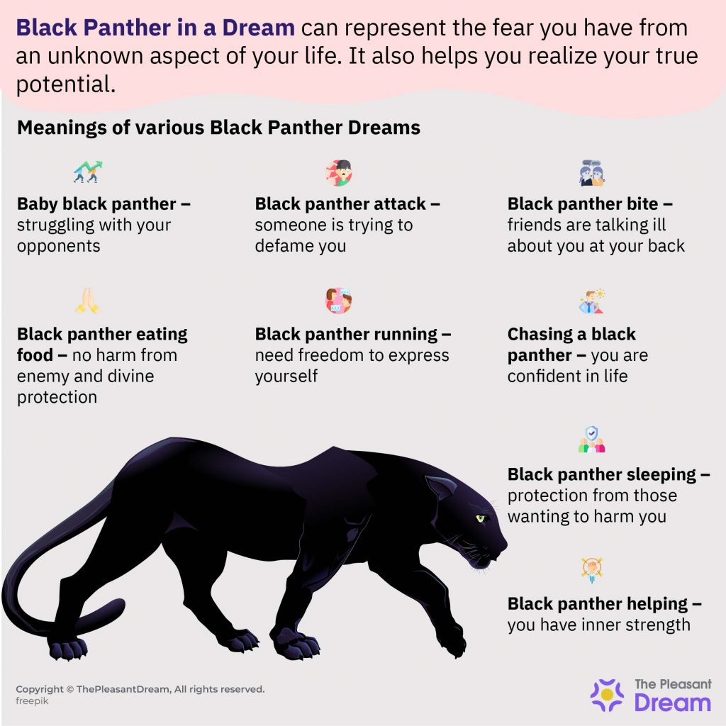 Black Panther in a Dream – 45 Scenarios and Their Interpretations