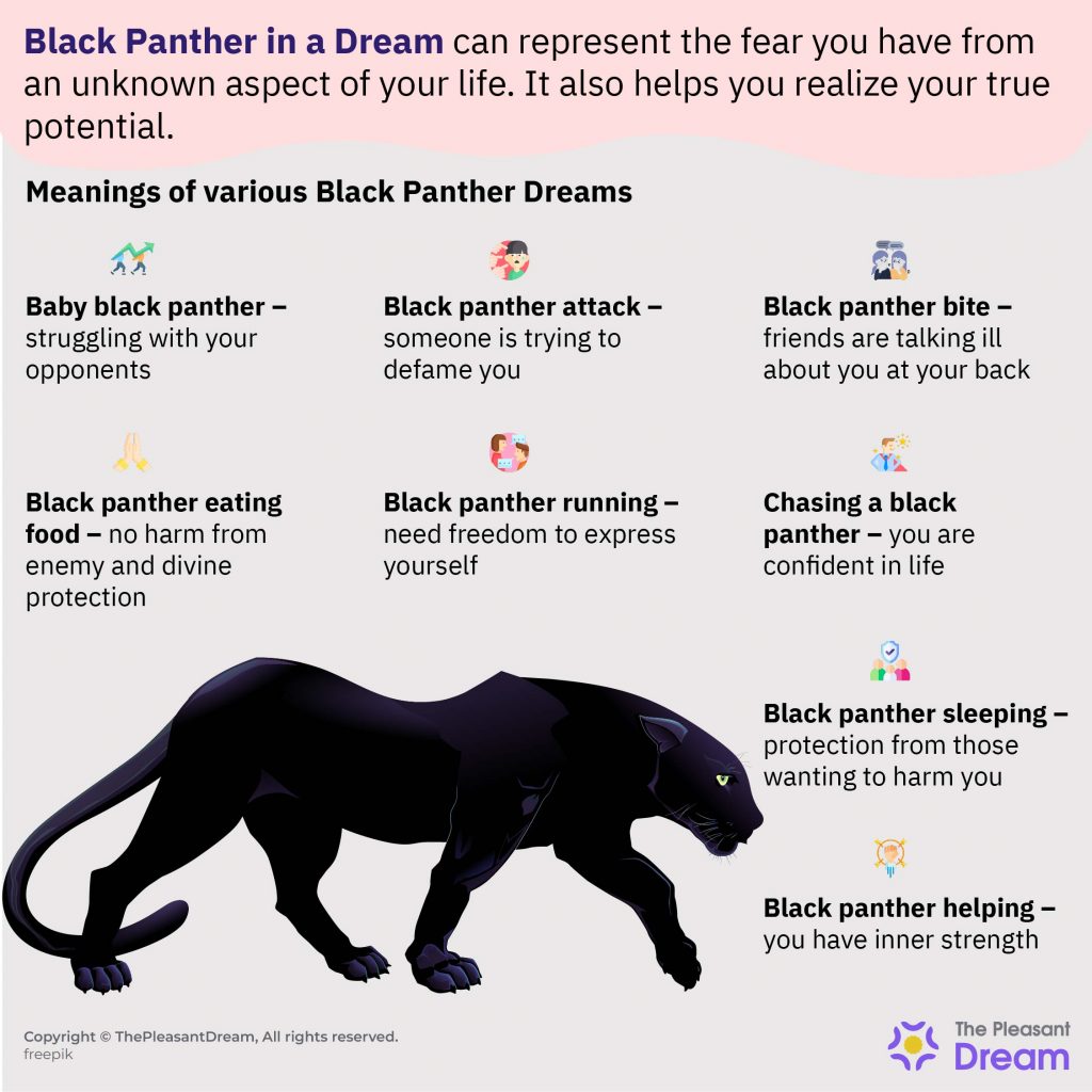 Black Panther in a Dream – Is It Auspicious Or Bad Luck?