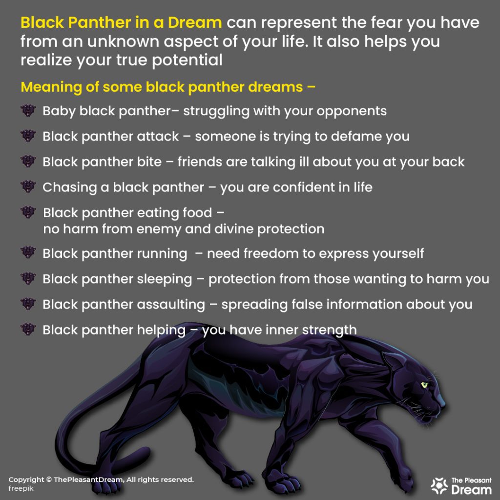 Black Panther in a Dream - Check Out Its Facets