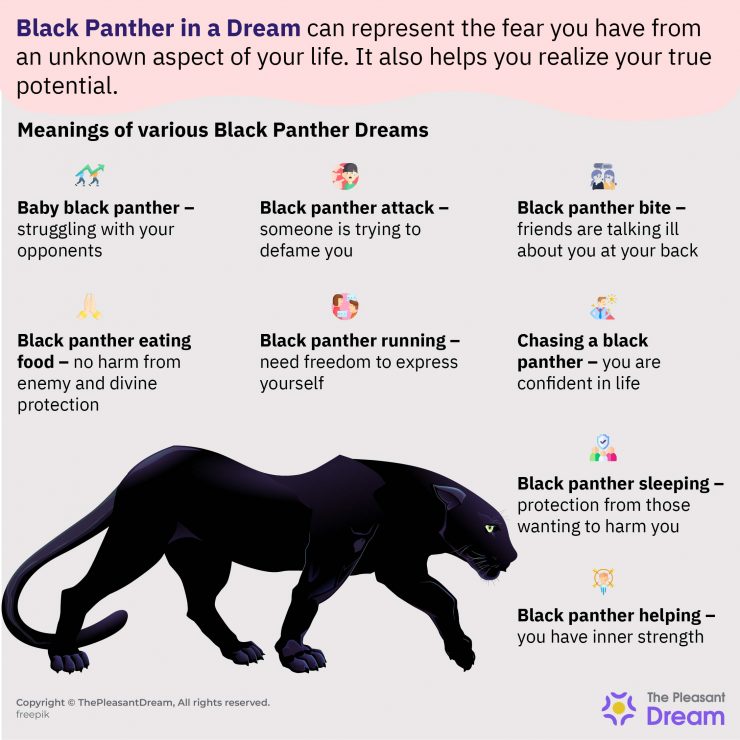 Black Panther in a Dream Is It Auspicious Or Bad Luck?