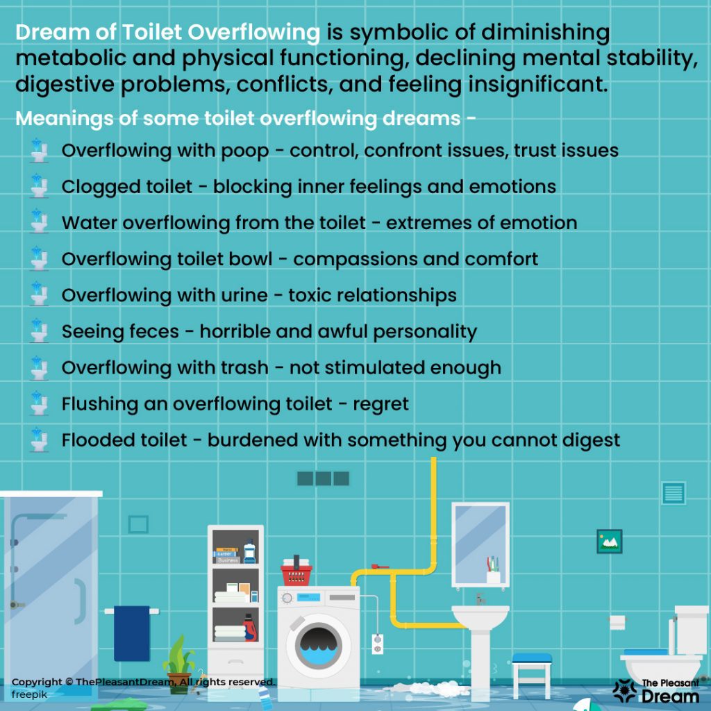 Dream Of Toilet Overflowing - 27 Scenarios & Their Interpretations
