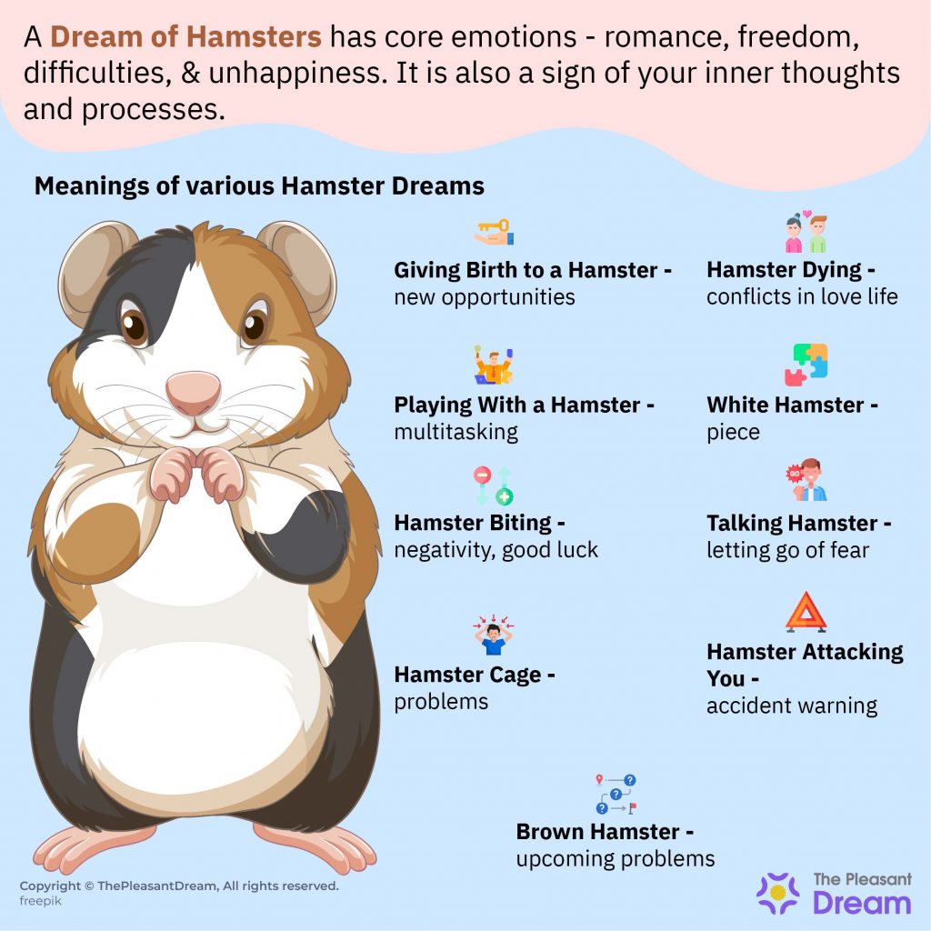 Dream of Hamster - 60 Different Scenarios & Their Meanings