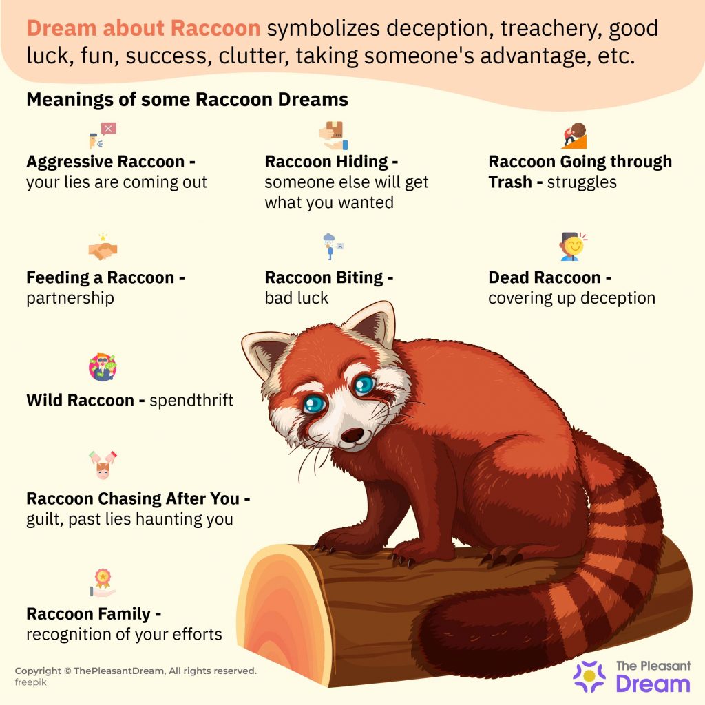 Raccoon in Dream - 60 Dream Types & Their Meanings