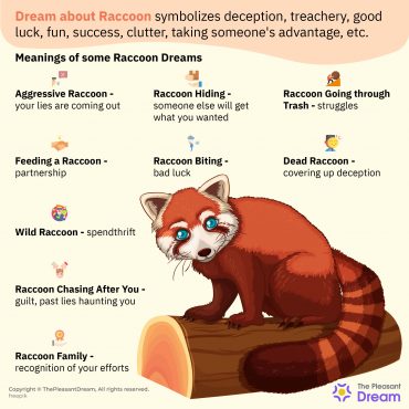 What does it mean when a raccoon is in your dream?