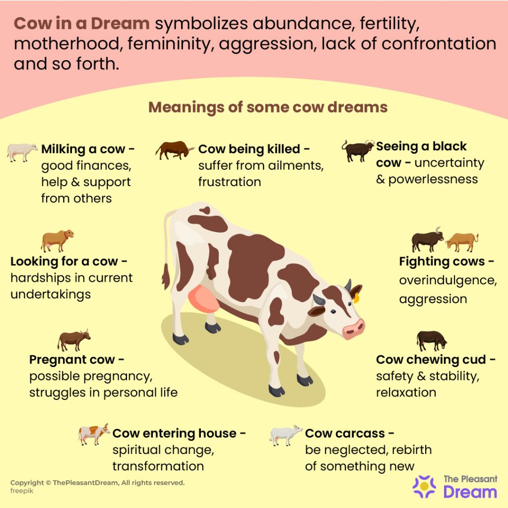 Cow in Dream - 49 Scenarios and Their Interpretations