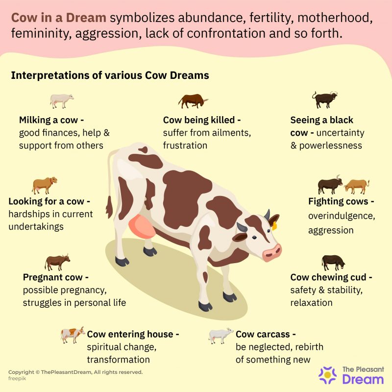 Cow in Dream Decoding Scenarios and Their Interpretations