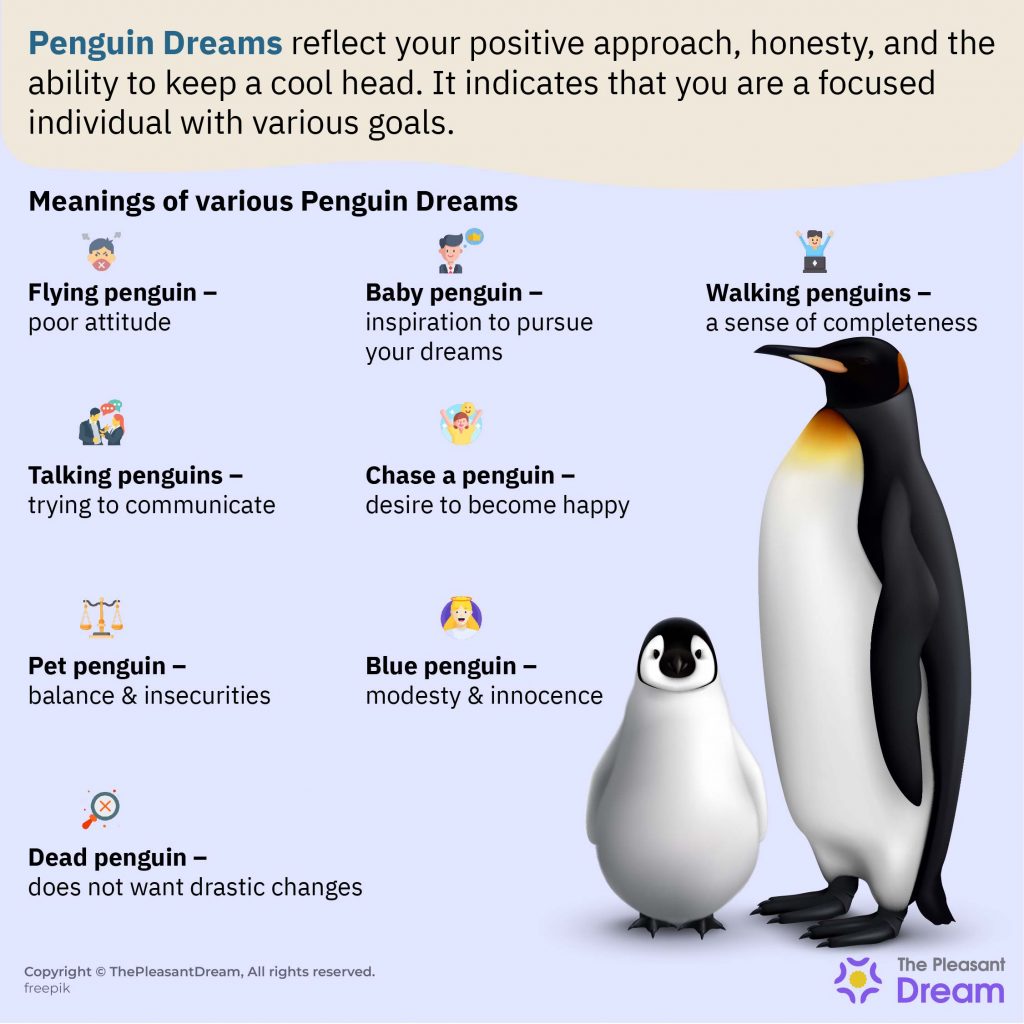 Dream about Penguins - Stay Calm & Take Things As They Come