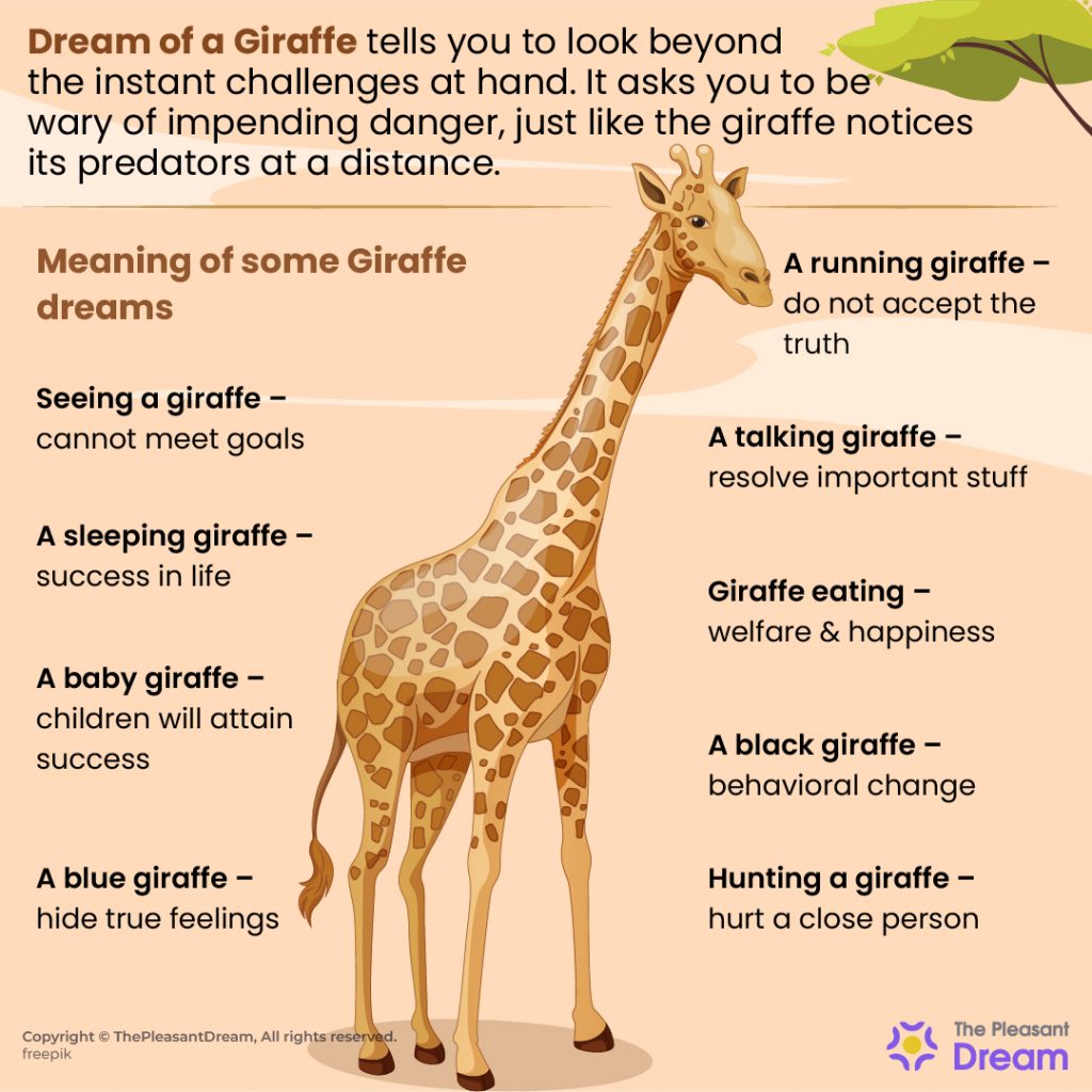 Dream of Giraffe – 67 Scenarios and Their Perspectives