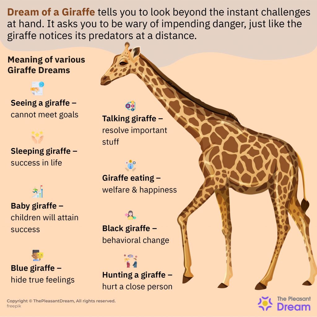 Dream of Giraffe – Unfolding Scenarios & Their Perspectives