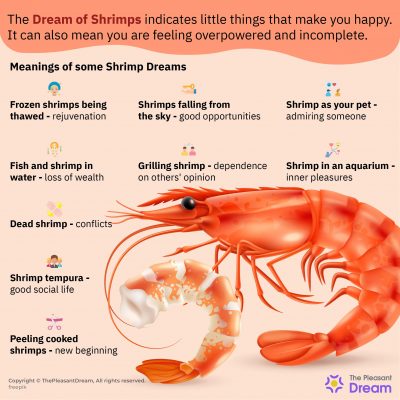 Dream of Shrimp - All You Need to Know About | ThePleasantDream