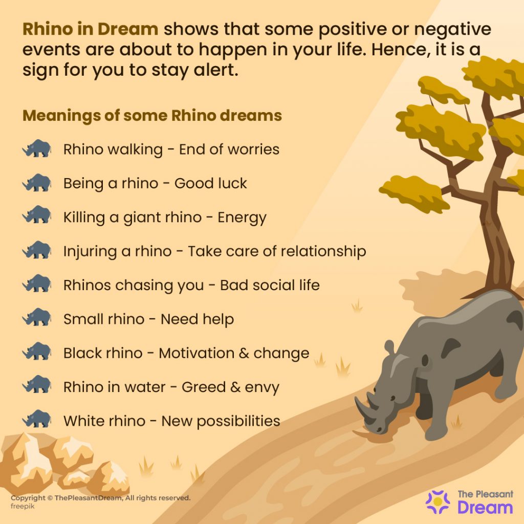 Rhino Dream Meaning - 47 Scenarios & Their Interpretations