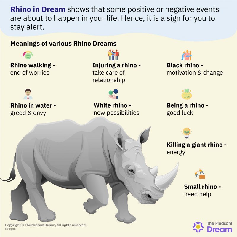 Rhino Dream Meaning - 20+ Meanings & Interpretations!