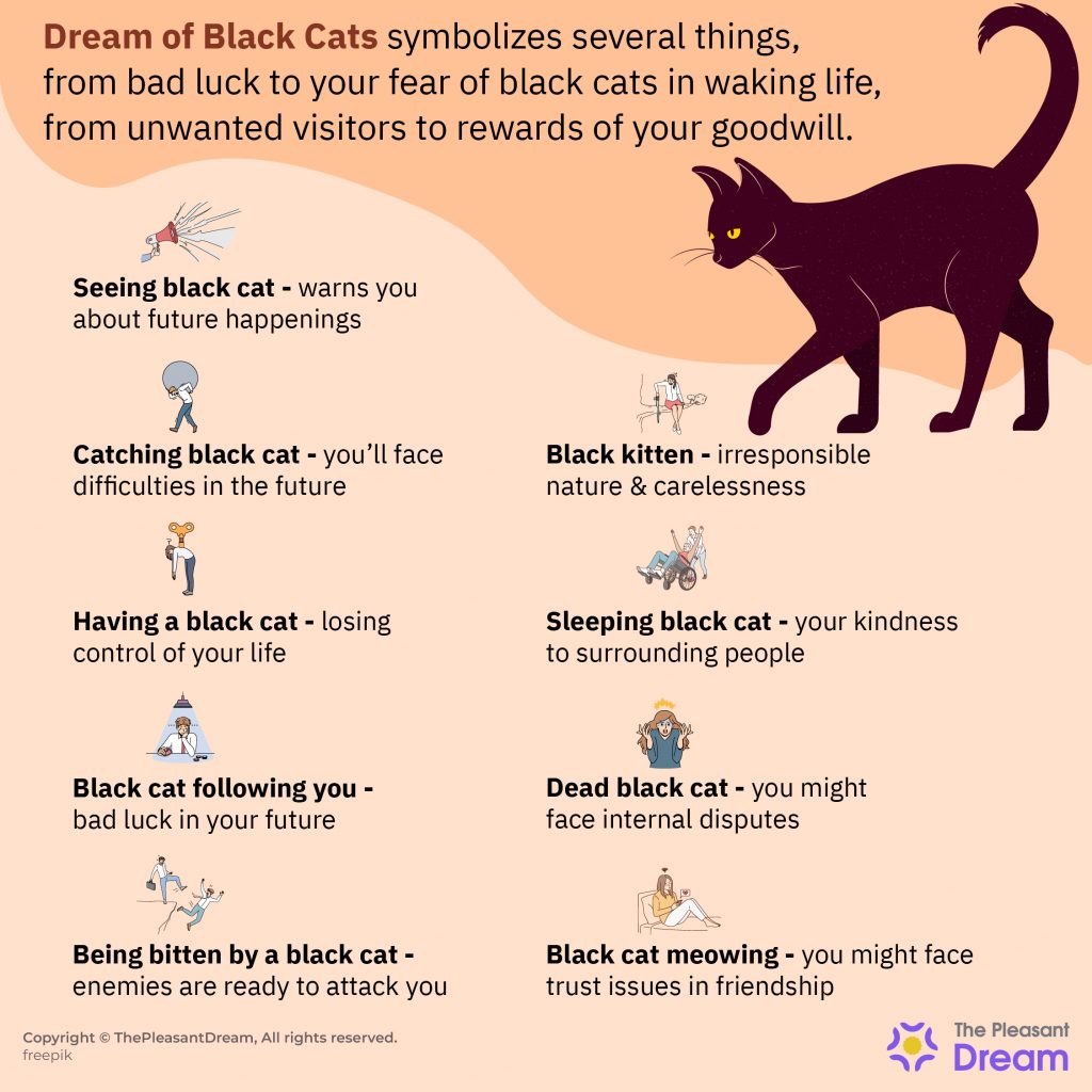 Black Cat in Dream - 80 Scenarios and Their Interpretations